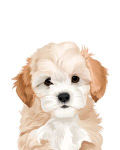 Custom pet portrait | Personalized dog and cat portrait from photo | Cartoon Pet Portrait perfect dog mom gift | Mother's day gift for Cat