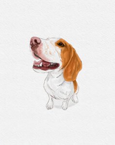 Personalized paint, custom pet portrait, dog portrait, watercolor art, custom dog painting, miniature painting, mini custom painting, tiny pet painting, dog portraits, dog sketch portrait, painting from photo, dog print, Mother's Day gift