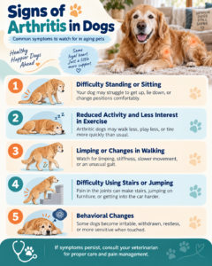 signs of arthritis in dogs